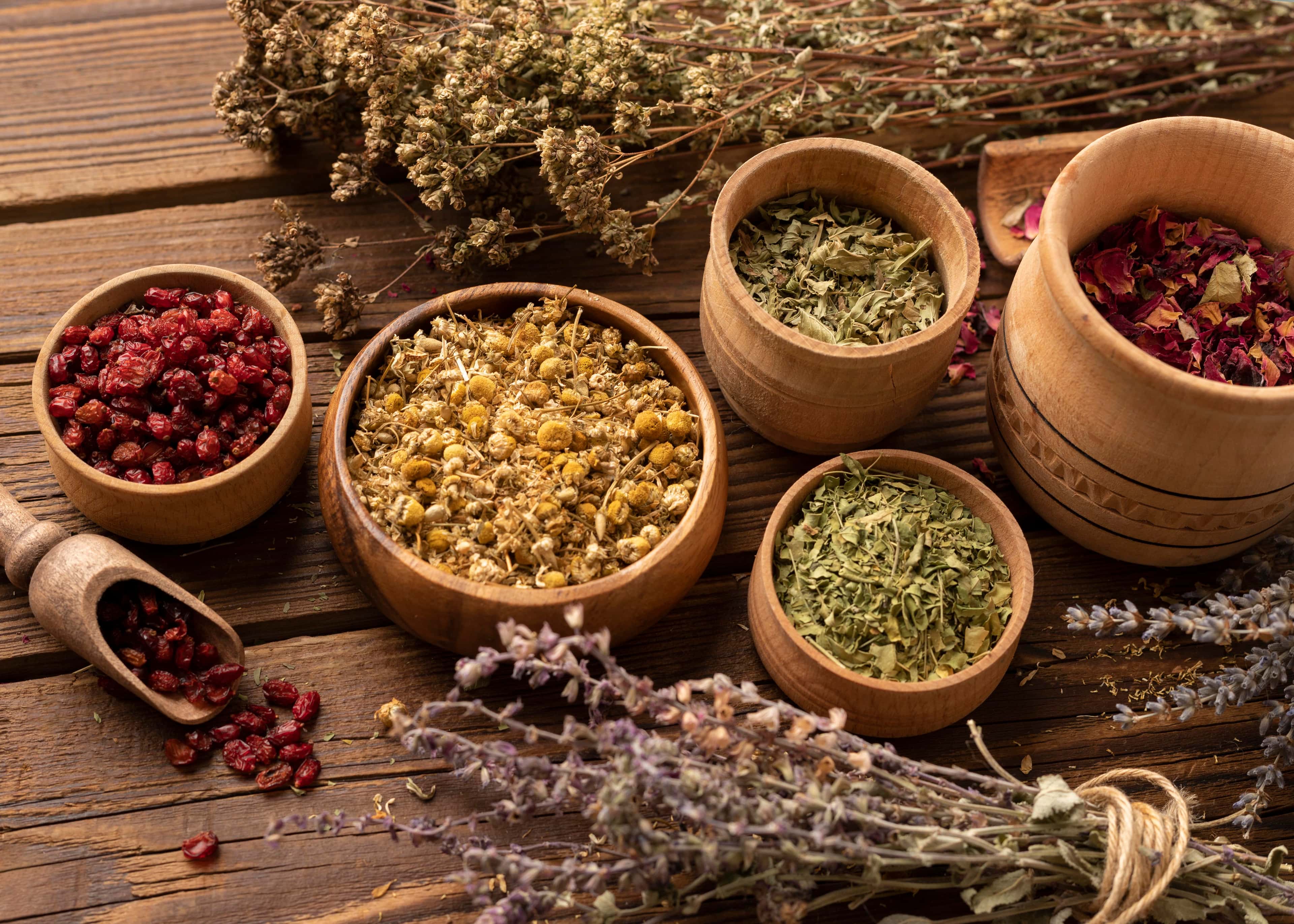 Medicinal and aromatic plants