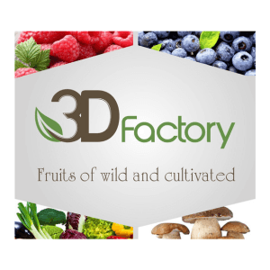 3D Factory