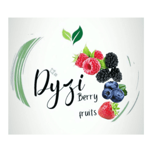 Dyzi Berry Fruits