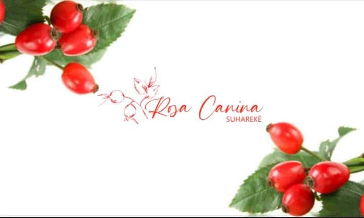 Rosa Canina