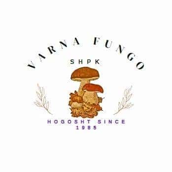 Varna Fungo
