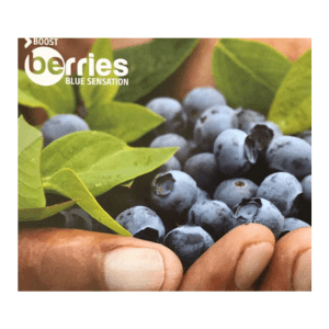 BOOST BERRIES SH.P.K